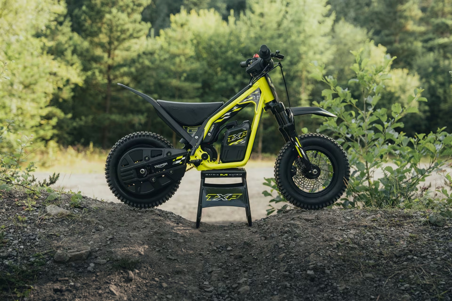 Triumph TXP 12 for sale in Portland, OR